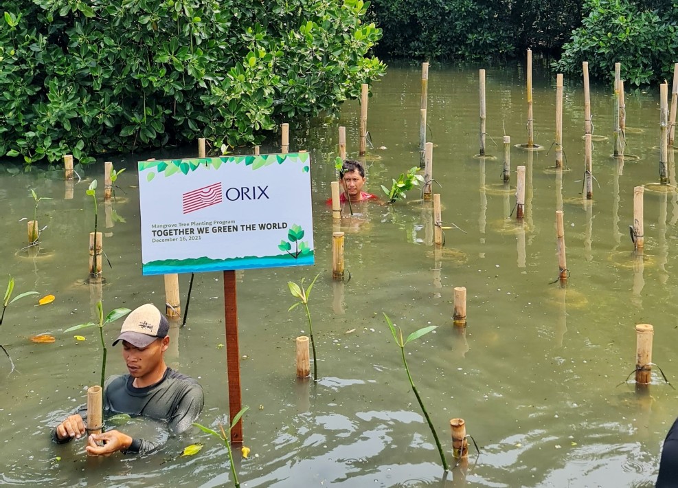 Program Penanaman Pohon Mangrove