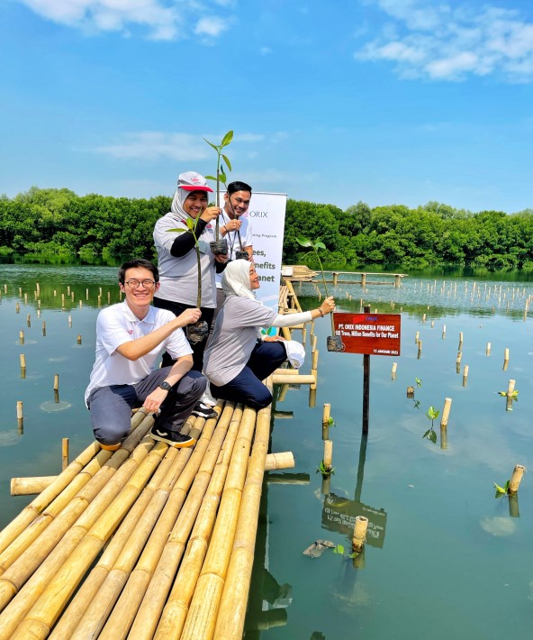 Program Lanjutan Penanaman Pohon Mangrove