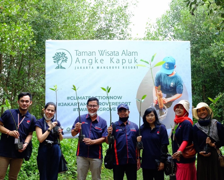 Program Penanaman Pohon Mangrove